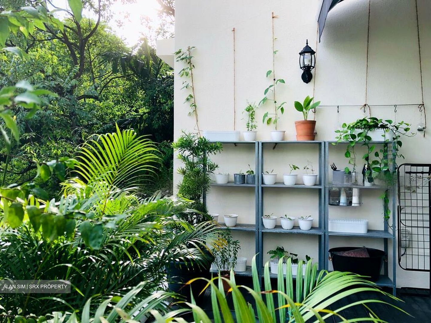 Tanglin Residences (D10), Condominium #454403811